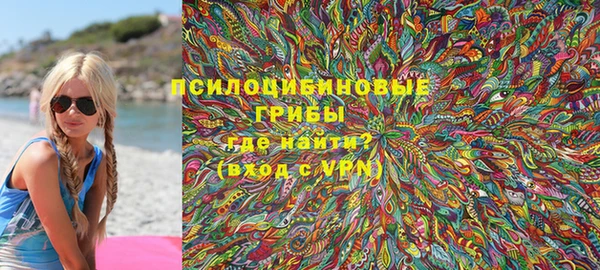 PSILOCYBIN Белокуриха