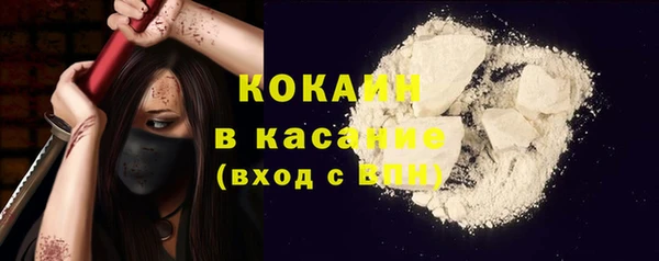 PSILOCYBIN Белокуриха