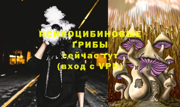 PSILOCYBIN Белокуриха
