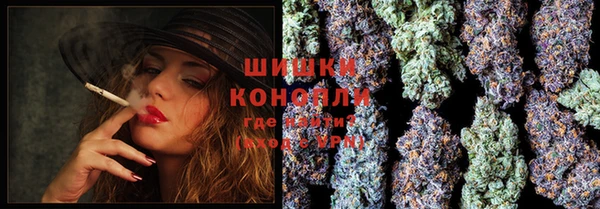 PSILOCYBIN Белокуриха