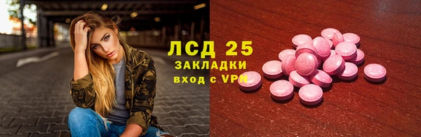 PSILOCYBIN Белокуриха