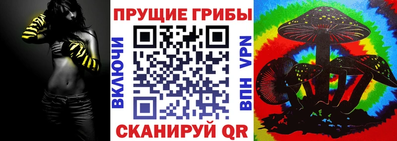 Купить  Аша  Галлюциногенные грибы мицелий 