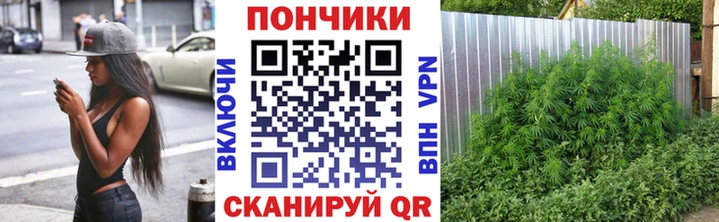 МАРИХУАНА семена Аша
